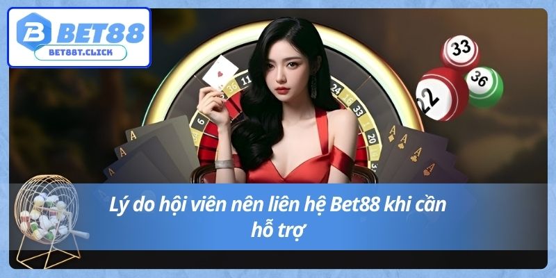 Lý do hội viên nên liên hệ Bet88 khi cần hỗ trợ